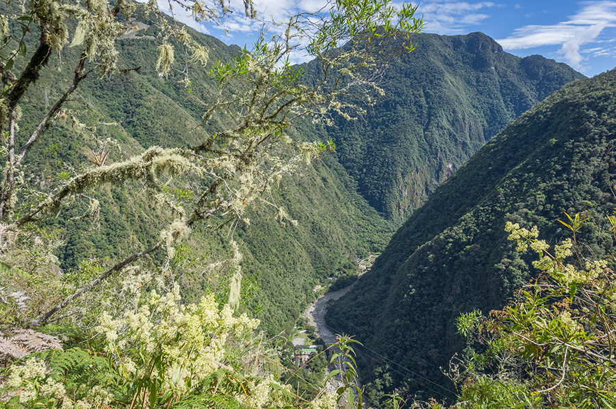 Blick von einem Berg aus auf den Urwald nahe Machu Picchu in Peru.
