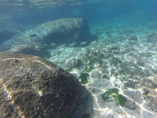 Unter Wasser am Strand auf Tioman.