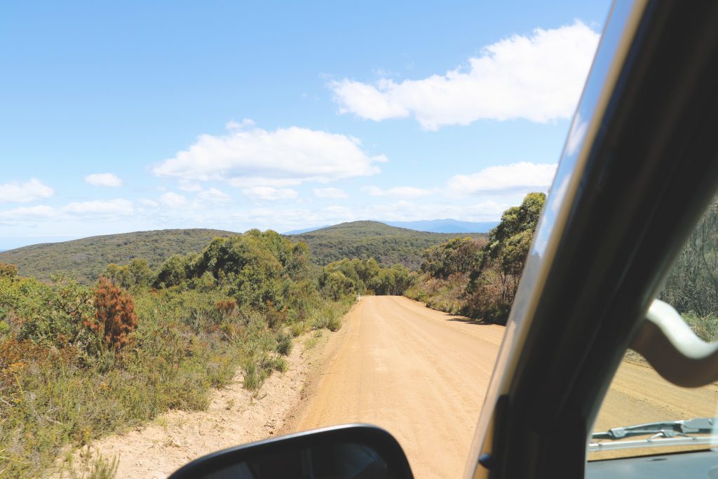 Blick aus dem Fahrerfenster des Campervans, mit dem Ania und Daniel das dichte Grün Tasmaniens erkunden.