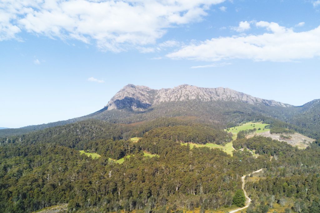 Blick auf die Umgebung und Wildnis Tasmaniens. Im Vordergrund Wald, im Hintergrund Gebirge.