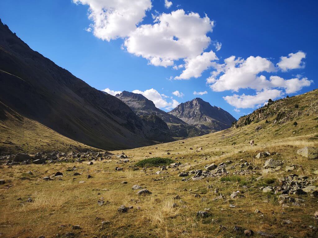 Graslandschaft und Berge in den Pyrenäen.