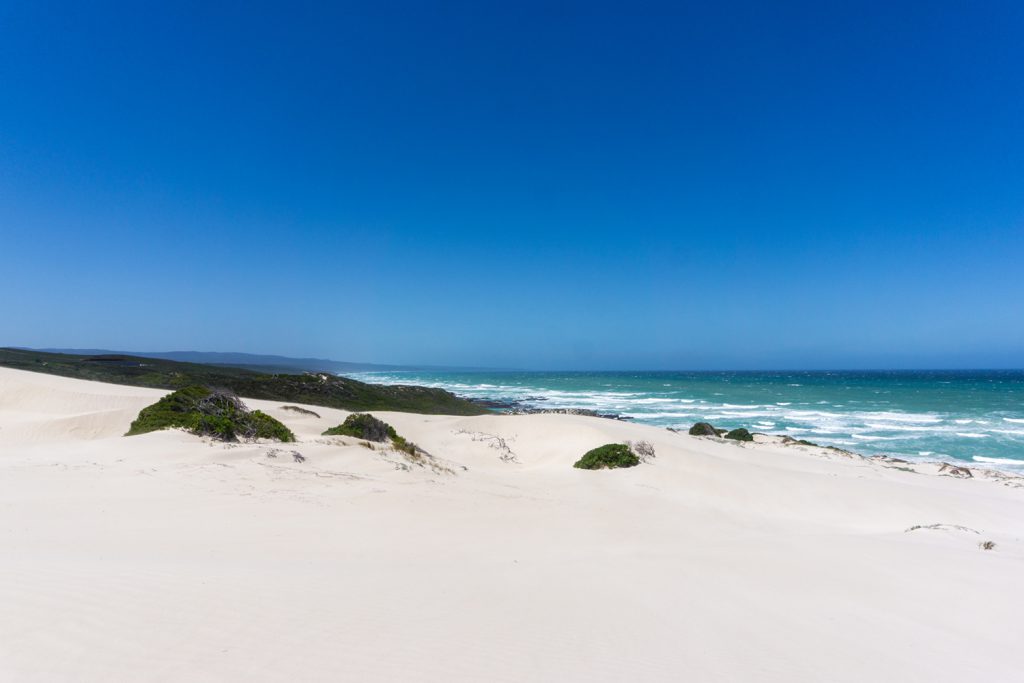 Garden Route Südafrika - Ein Weg im De Hoop Nature Reserve führt direkt zum Meer.