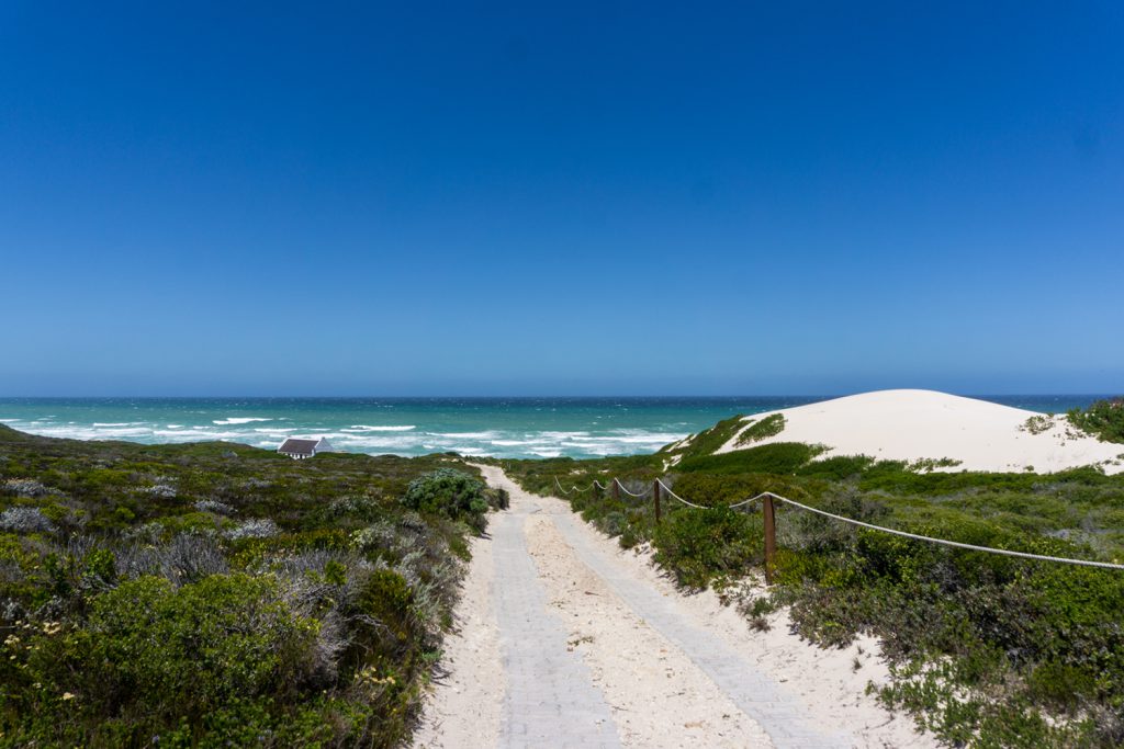 Garden Route Südafrika - Ein Weg im De Hoop Nature Reserve führt direkt zum Meer.