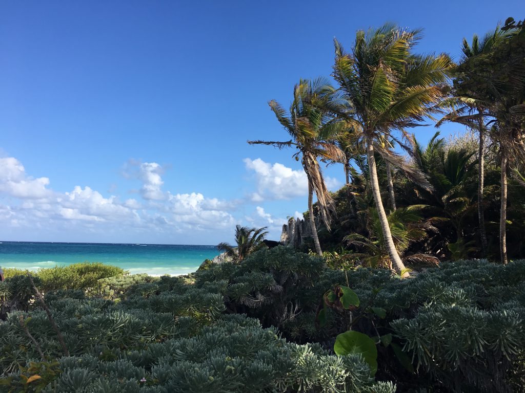 Roadtrip Yucatan - Strand mit Palmen in der Nähe der Mayaruinen-Stätte Coba nahe Tulum in Mexiko.