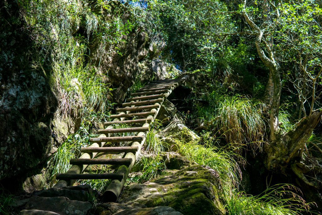 Klicken, um Bild zu vergrößern. Garden Route Südafrika - Der Aufstieg zum Tafelberg über den Smuts Track dauert ca. drei bis vier Stunden.