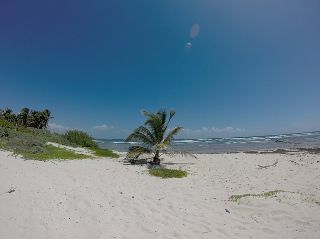 Roadtrip Yucatan - Weisser Sandstrand und Palmen am Playa Chemuyil in Mexiko.