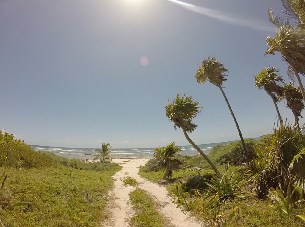 Roadtrip Yucatan - Weisser Sandstrand und Palmen am Playa Chemuyil in Mexiko.