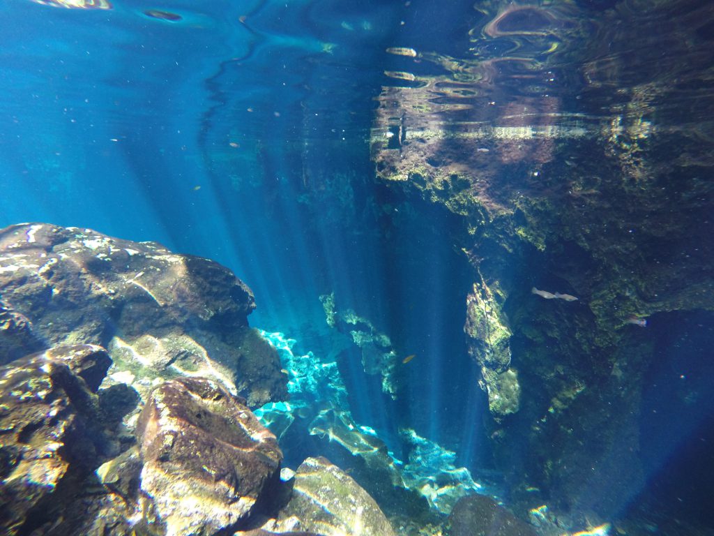 Roadtrip Yucatan - Unterwasseraufnahme in einer Cenote in Mexiko. Cenoten sind traumhafte, mit Wasser gefüllte Höhlen bzw. Löcher.