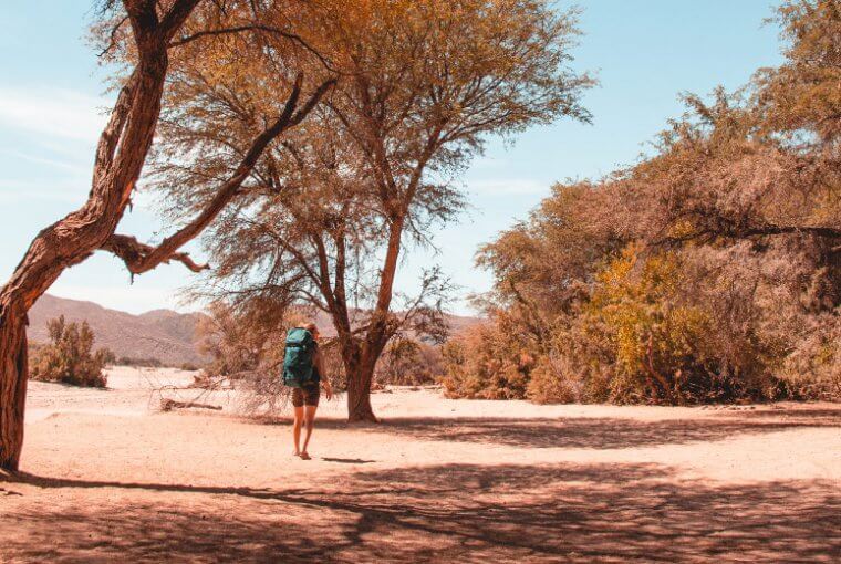 Mit Allrad durch Namibia: Unterwegs in der entlegensten Gegend des südlichen Afrika