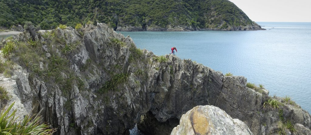Work and Travel Neuseeland - Tatonka Trekkin' Crew Titelbild.
