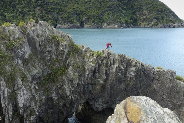 Work and Travel Neuseeland - Tatonka Trekkin' Crew Titelbild.