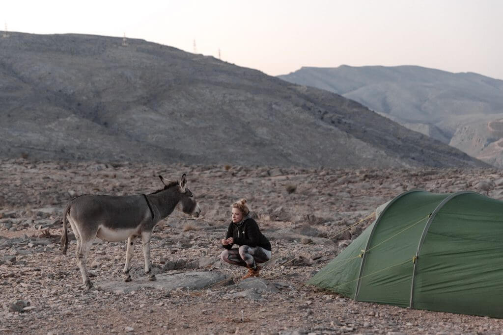 Ein kleiner Wildesel besucht Joanna vor ihrem Okisba-Zelt in Khasab, Oman.