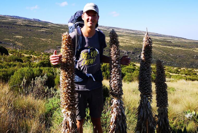 Besteigung des Mount Kenya in Kenia.