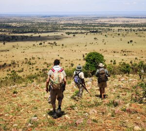 Zu Fuß in der Serengeti - Mitten in der größen Migration Afrikas - auf der Suche nach neuen Wanderrouten