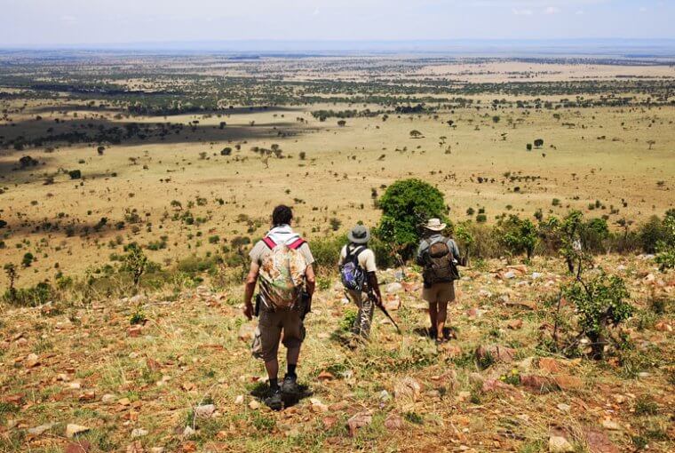 Zu Fuß in der Serengeti - Mitten in der größen Migration Afrikas - auf der Suche nach neuen Wanderrouten